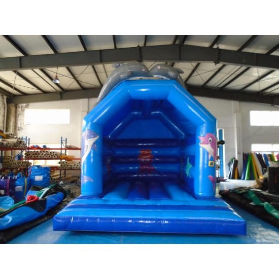 Bouncy Castle Dolphin