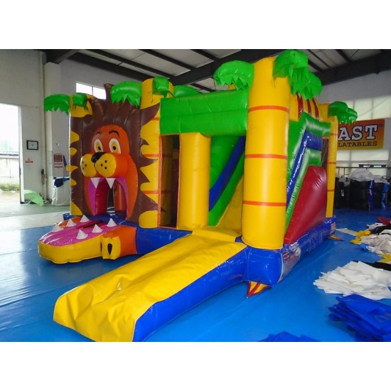 Bouncy Castle Multiplaylion